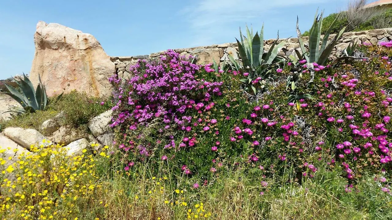 Casa Vacanze Della Maddalena La Maddalena (Sassari)